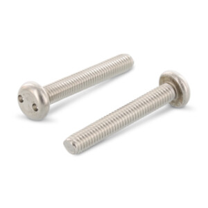 Item 9101 - Cheese head security screws with two hole drive
