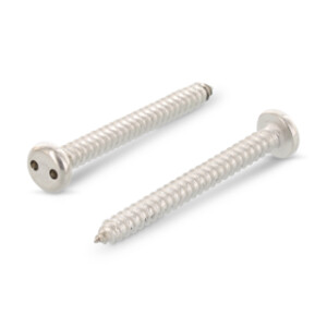Item 9100 - Cheese head security screws with two hole drive