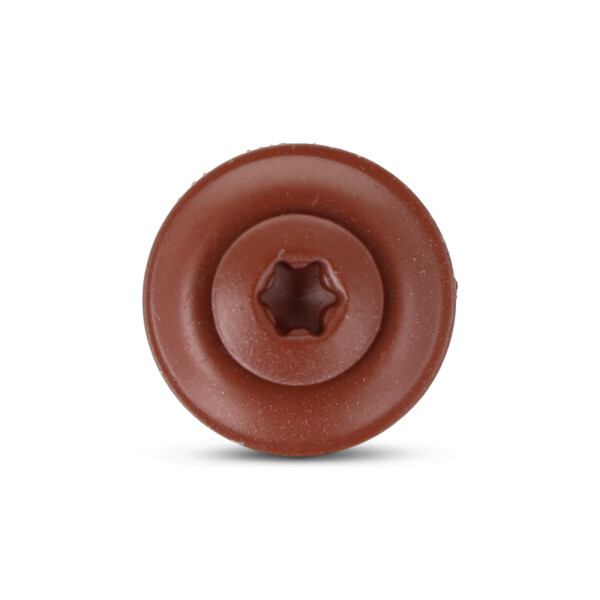 ART_9087-8004_Kopf.png