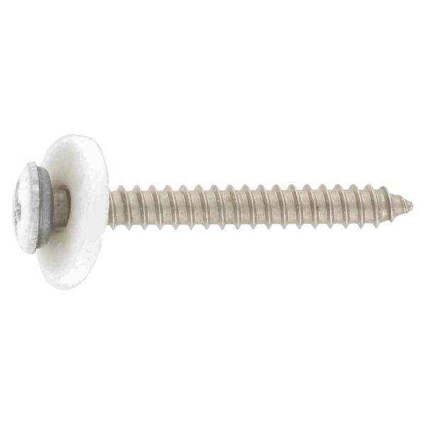 9066 PZ weiß horizontal.jpg